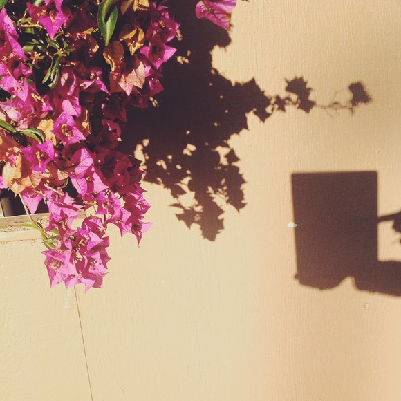 Meet your Posher, Leah - Picture 1 of 1